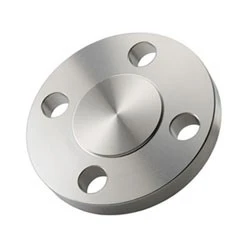 Stainless Steel 321 Blind Flange (2) Stainless Steel 321 Blind Flange (2)